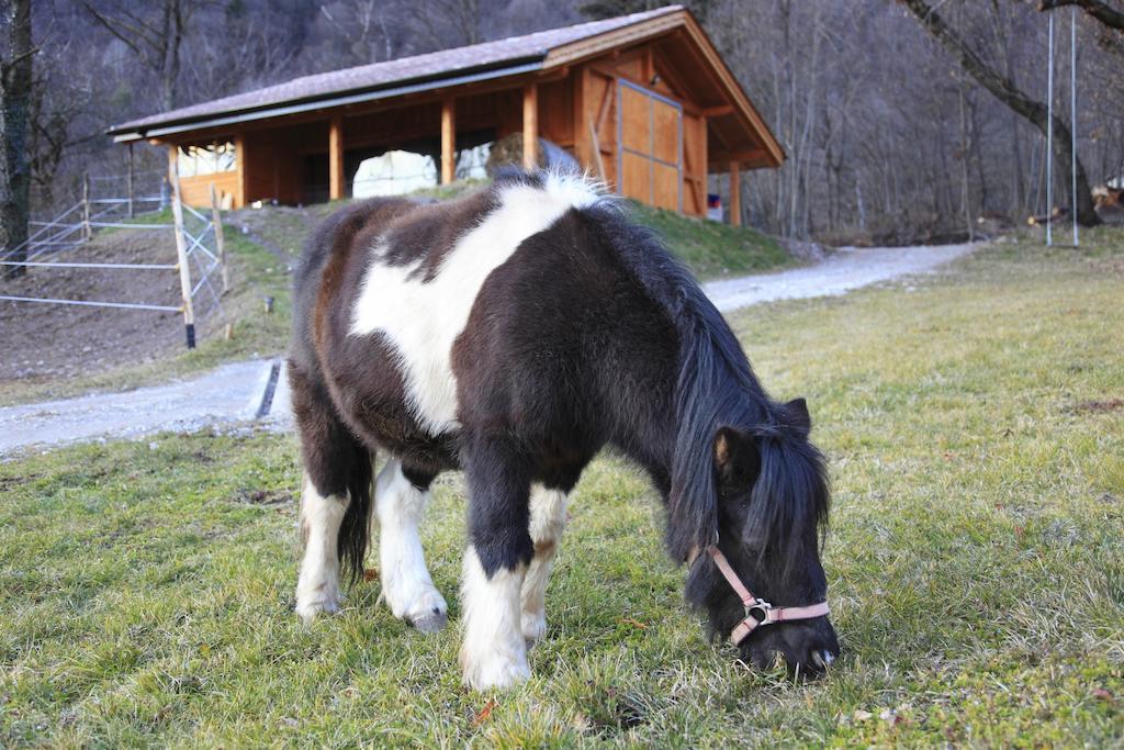 Penzion Agritur La Polentera Storo Exteriér fotografie